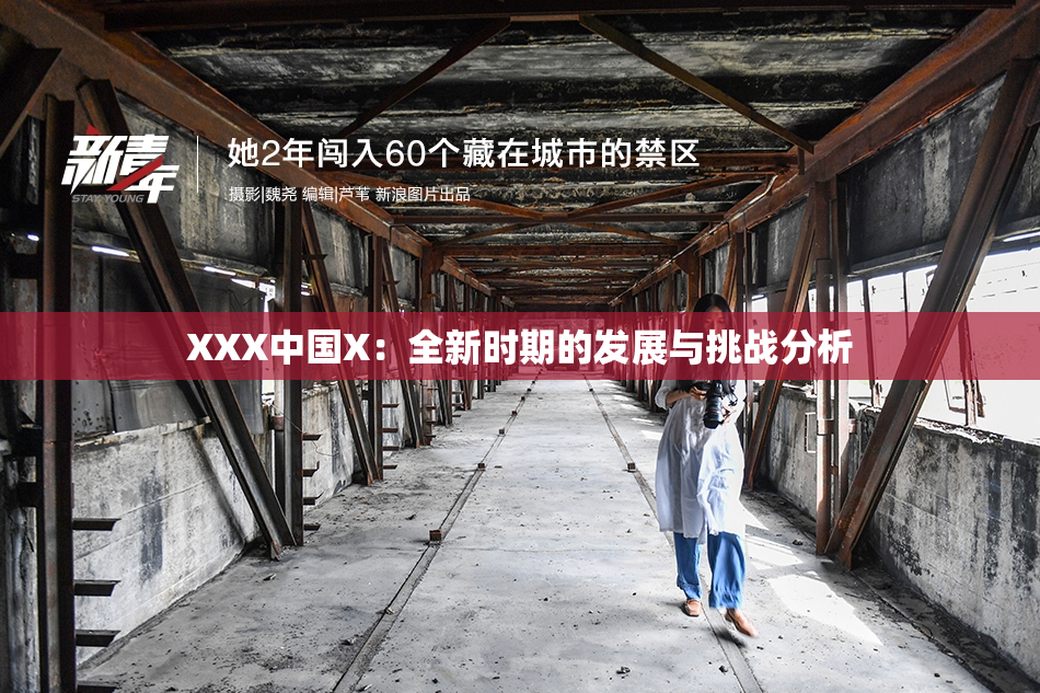 XXX中国X：全新时期的发展与挑战分析