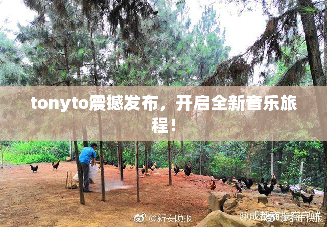 tonyto震撼发布，开启全新音乐旅程！