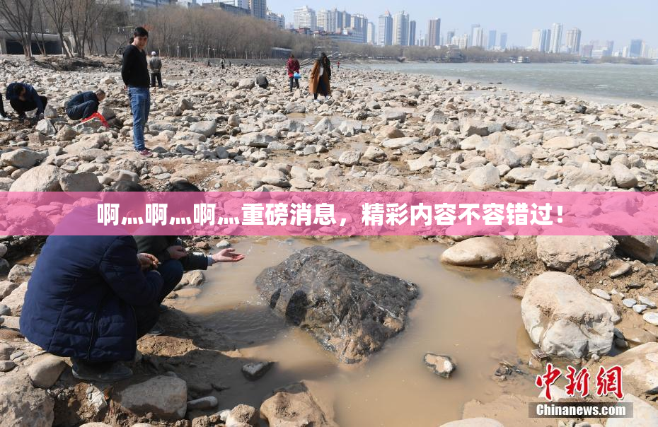 啊灬啊灬啊灬重磅消息，精彩内容不容错过！