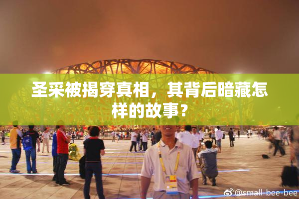 圣采被揭穿真相，其背后暗藏怎样的故事？