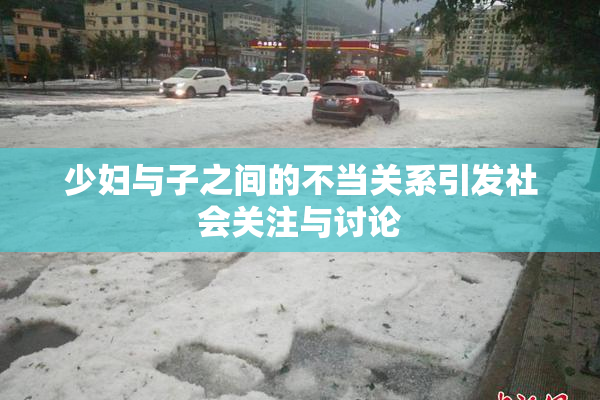 少妇与子之间的不当关系引发社会关注与讨论