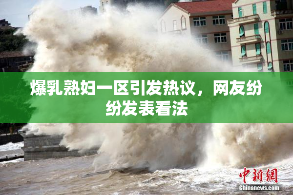 爆乳熟妇一区引发热议，网友纷纷发表看法