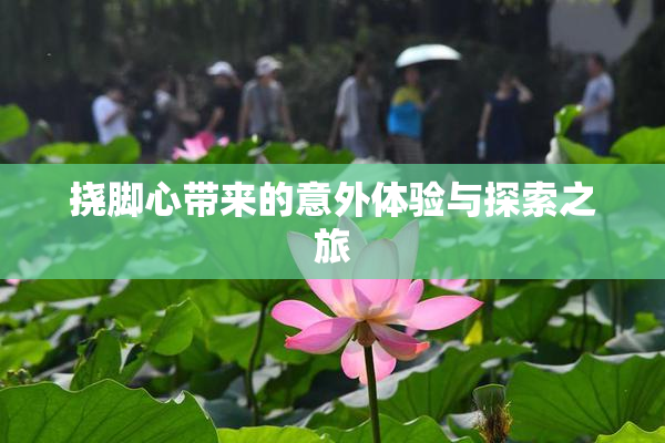 挠脚心带来的意外体验与探索之旅