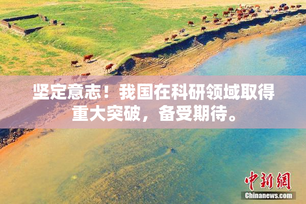 坚定意志！我国在科研领域取得重大突破，备受期待。