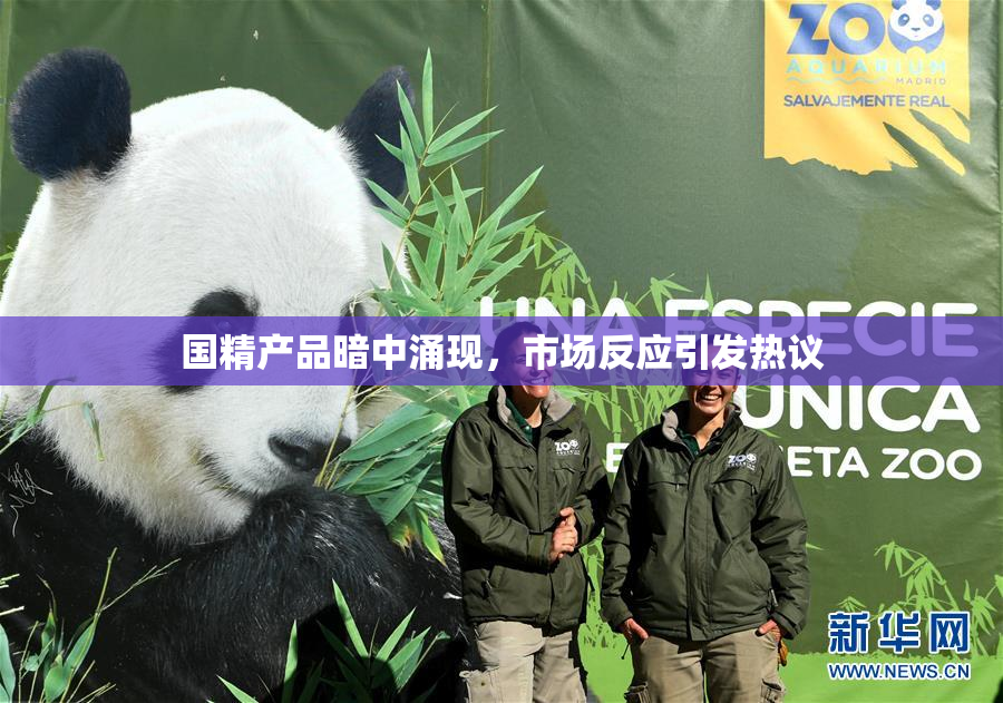 国精产品暗中涌现，市场反应引发热议
