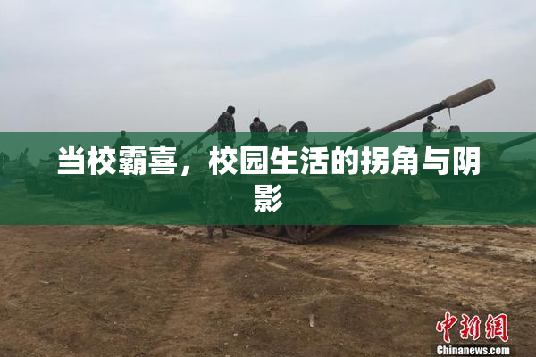 当校霸喜，校园生活的拐角与阴影