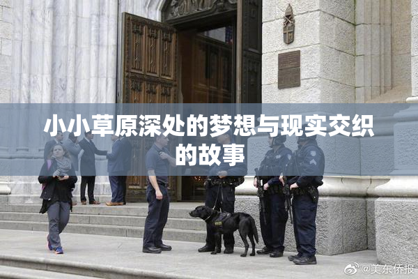 小小草原深处的梦想与现实交织的故事