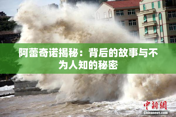 阿蕾奇诺揭秘：背后的故事与不为人知的秘密