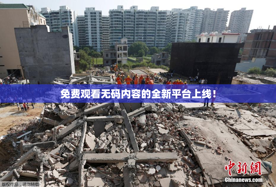 免费观看无码内容的全新平台上线！
