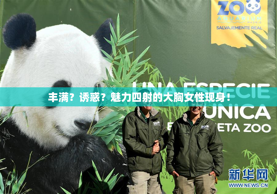 丰满？诱惑？魅力四射的大胸女性现身！
