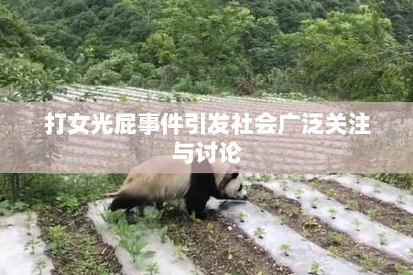 打女光屁事件引发社会广泛关注与讨论