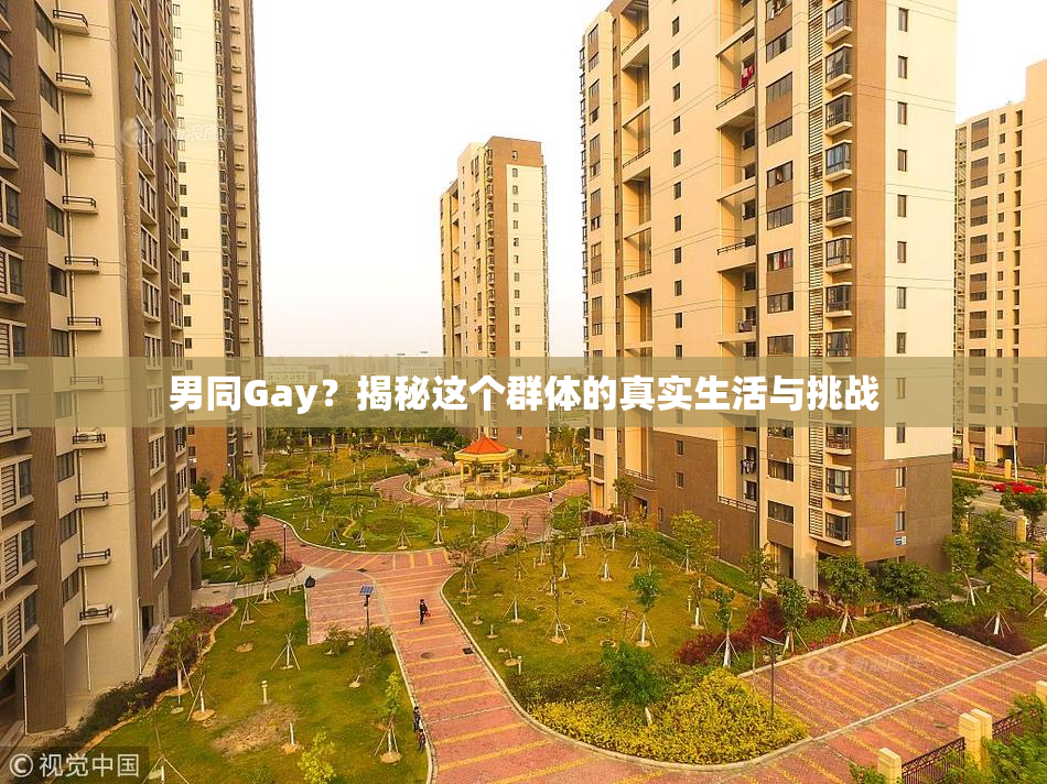 男同Gay？揭秘这个群体的真实生活与挑战