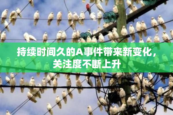 持续时间久的A事件带来新变化，关注度不断上升