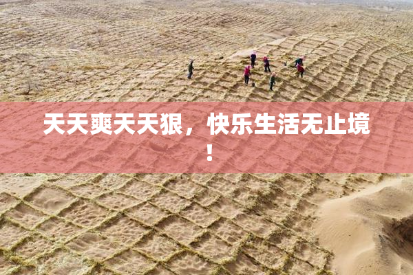 天天爽天天狠，快乐生活无止境！