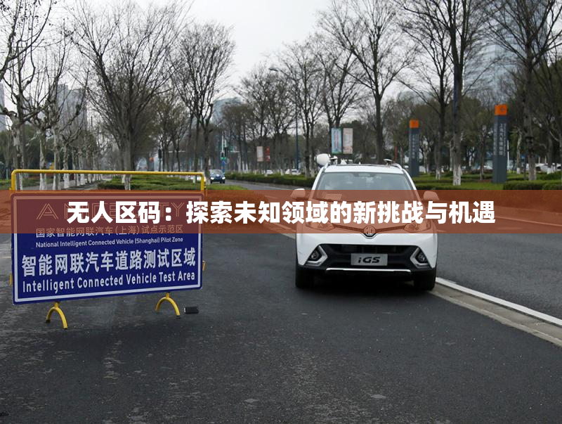 无人区码：探索未知领域的新挑战与机遇