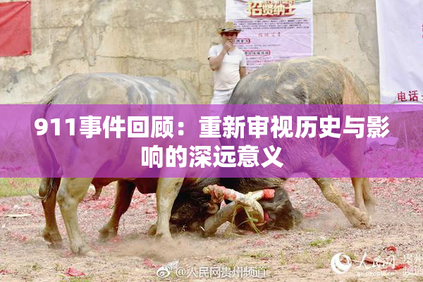 911事件回顾：重新审视历史与影响的深远意义