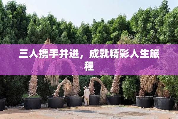三人携手并进，成就精彩人生旅程