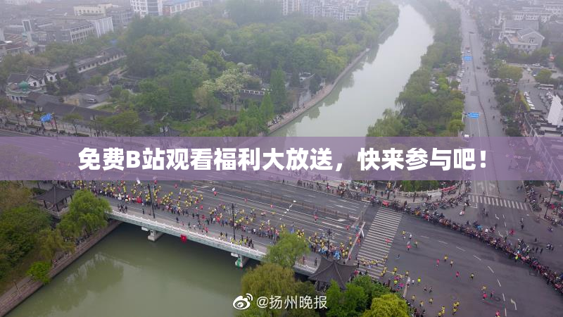 免费B站观看福利大放送，快来参与吧！