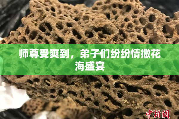 师尊受爽到，弟子们纷纷情撒花海盛宴