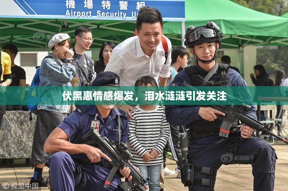 伏黑惠情感爆发，泪水涟涟引发关注