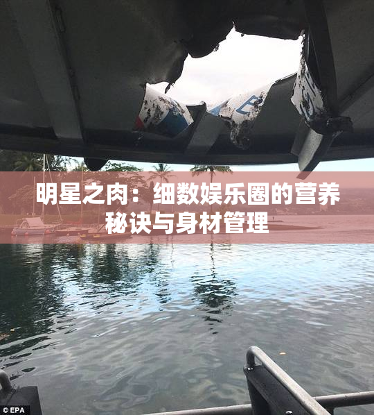 明星之肉：细数娱乐圈的营养秘诀与身材管理