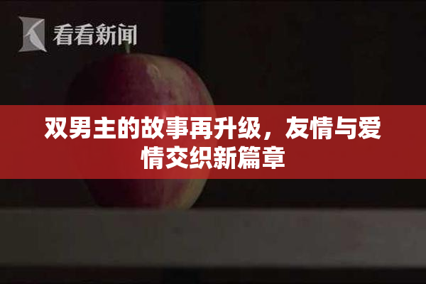 双男主的故事再升级，友情与爱情交织新篇章