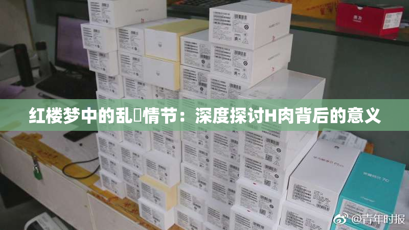 红楼梦中的乱婬情节：深度探讨H肉背后的意义