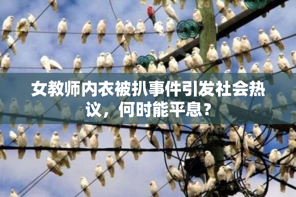 女教师内衣被扒事件引发社会热议，何时能平息？