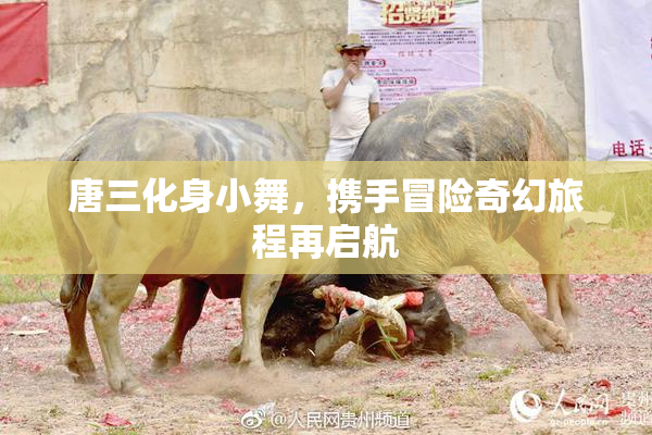 唐三化身小舞，携手冒险奇幻旅程再启航