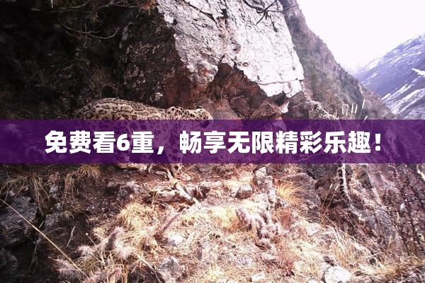 免费看6重，畅享无限精彩乐趣！