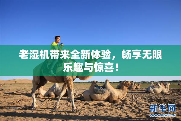 老湿机带来全新体验，畅享无限乐趣与惊喜！
