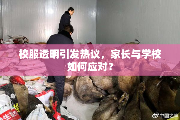 校服透明引发热议，家长与学校如何应对？