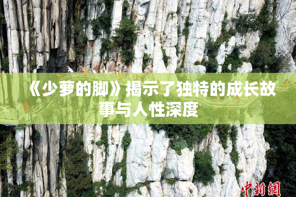 《少萝的脚》揭示了独特的成长故事与人性深度