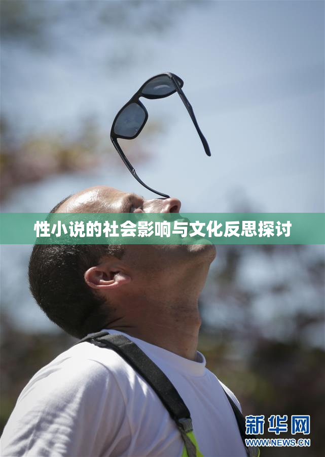 性小说的社会影响与文化反思探讨