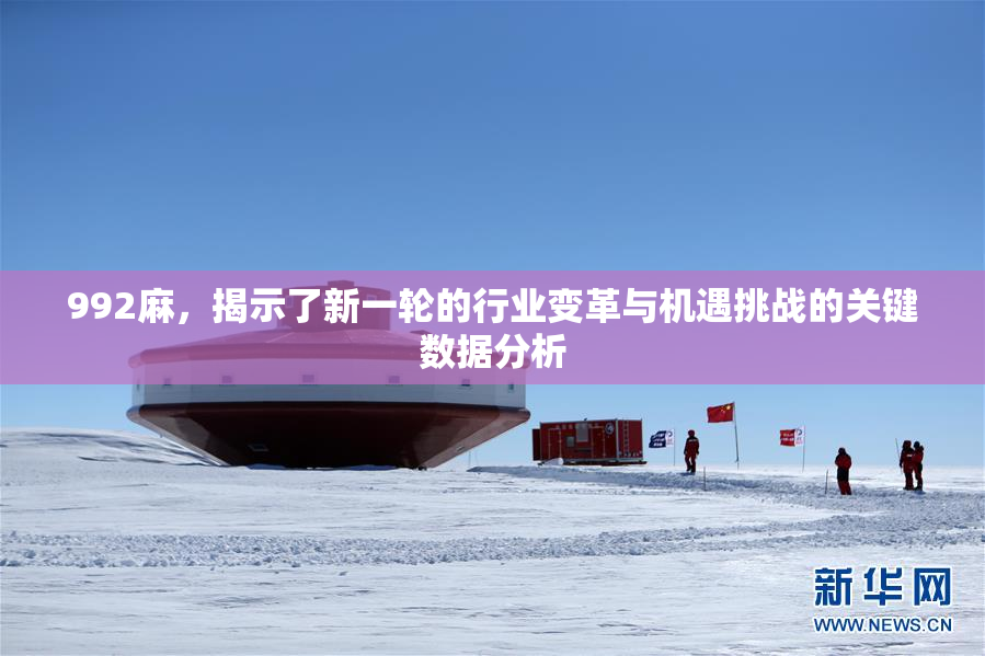 992麻，揭示了新一轮的行业变革与机遇挑战的关键数据分析