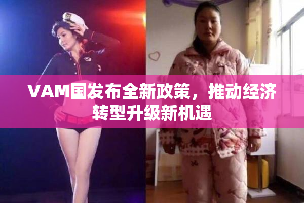 VAM国发布全新政策，推动经济转型升级新机遇