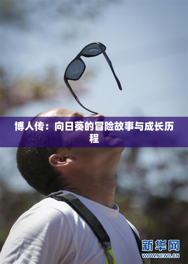 博人传：向日葵的冒险故事与成长历程