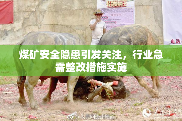 煤矿安全隐患引发关注，行业急需整改措施实施