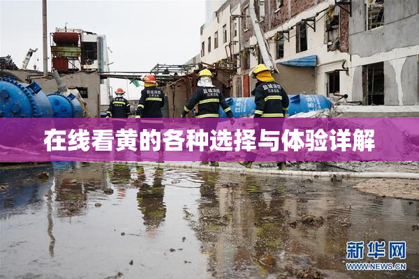 在线看黄的各种选择与体验详解