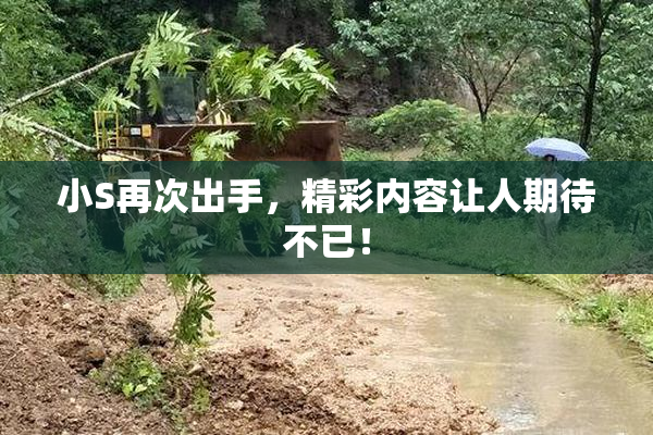 小S再次出手，精彩内容让人期待不已！