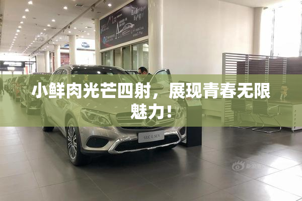 小鲜肉光芒四射，展现青春无限魅力！
