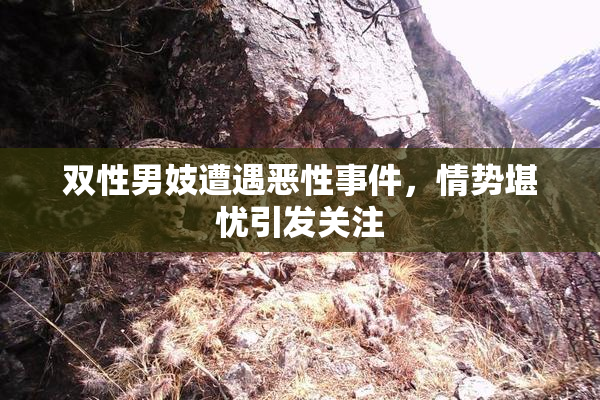 双性男妓遭遇恶性事件，情势堪忧引发关注