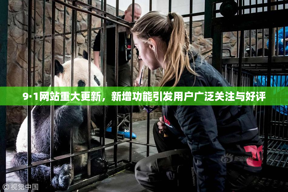 9·1网站重大更新，新增功能引发用户广泛关注与好评