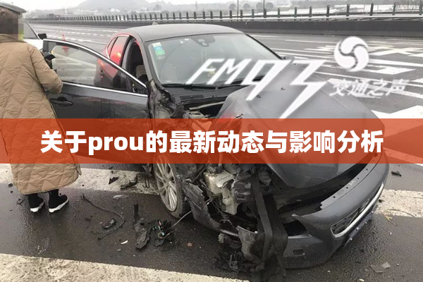 关于prou的最新动态与影响分析