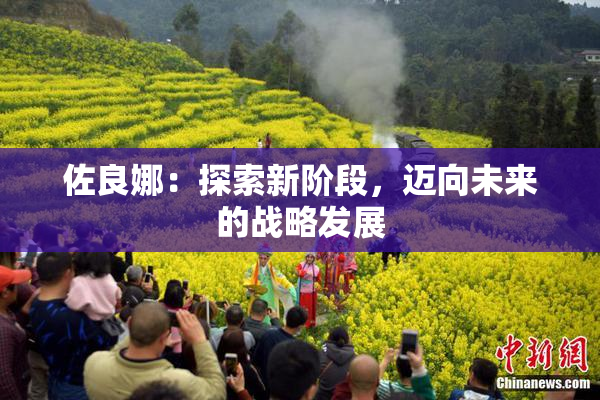 佐良娜：探索新阶段，迈向未来的战略发展
