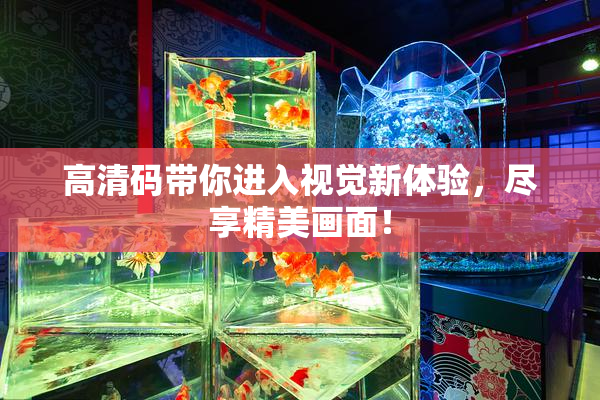 高清码带你进入视觉新体验，尽享精美画面！