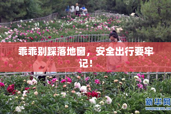 乖乖别踩落地窗，安全出行要牢记！