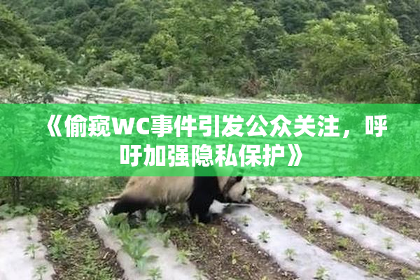 《偷窥WC事件引发公众关注，呼吁加强隐私保护》
