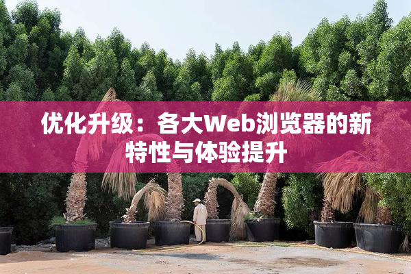 优化升级：各大Web浏览器的新特性与体验提升