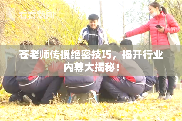 苍老师传授绝密技巧，揭开行业内幕大揭秘！